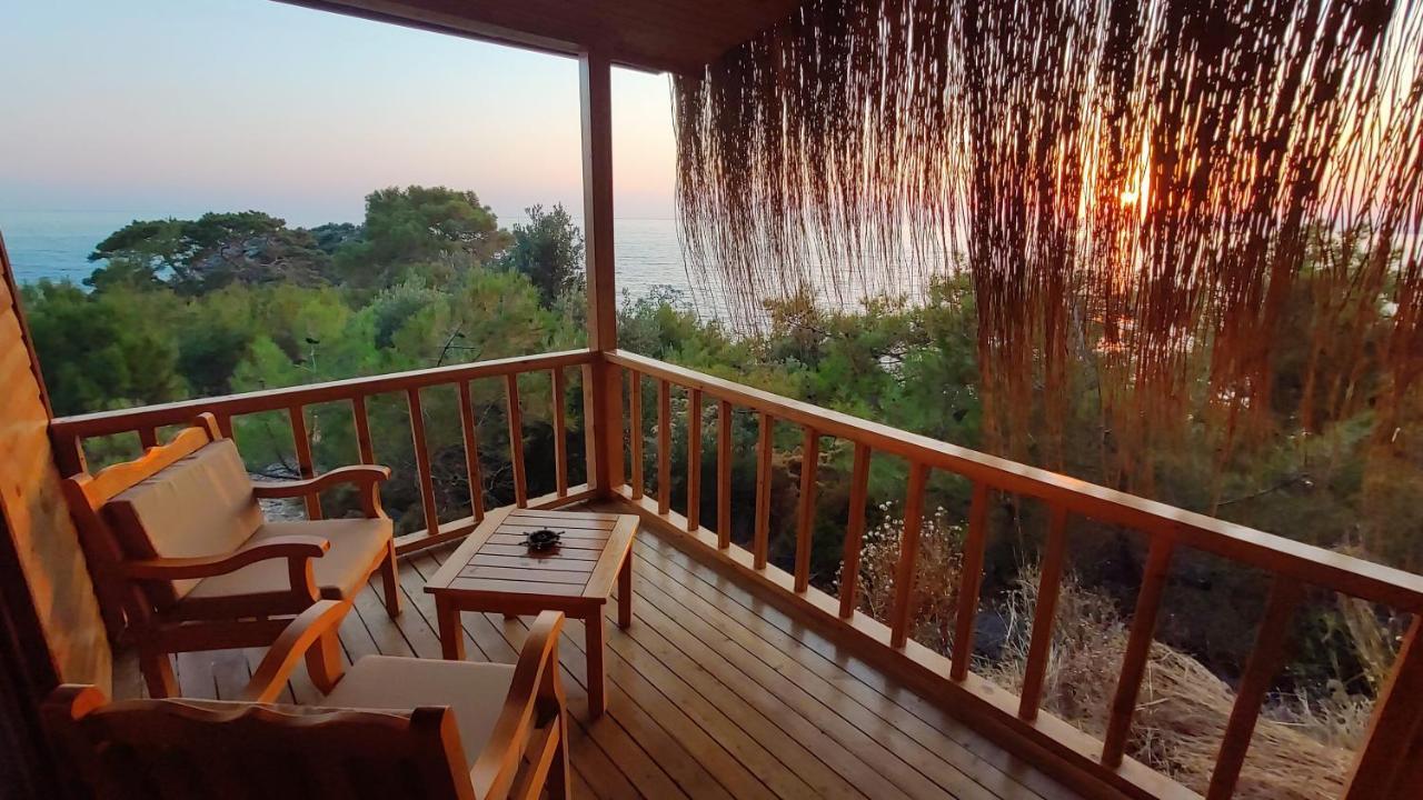 Rocas Roja Beach Hotel Faralya Kültér fotó