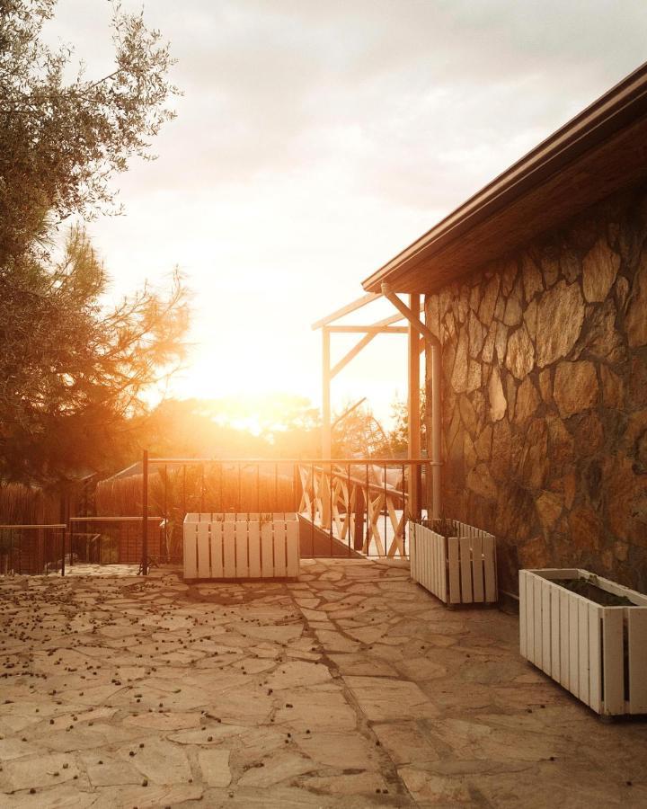 Rocas Roja Beach Hotel Faralya Kültér fotó