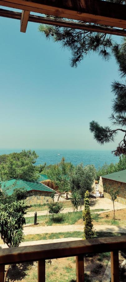 Rocas Roja Beach Hotel Faralya Kültér fotó