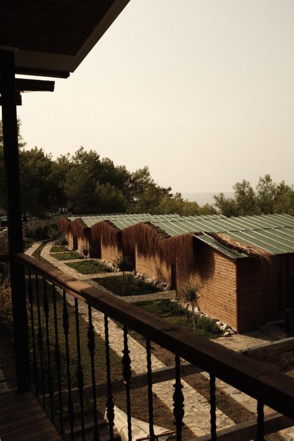 Rocas Roja Beach Hotel Faralya Kültér fotó