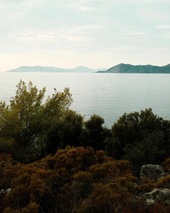 Rocas Roja Beach Hotel Faralya Kültér fotó