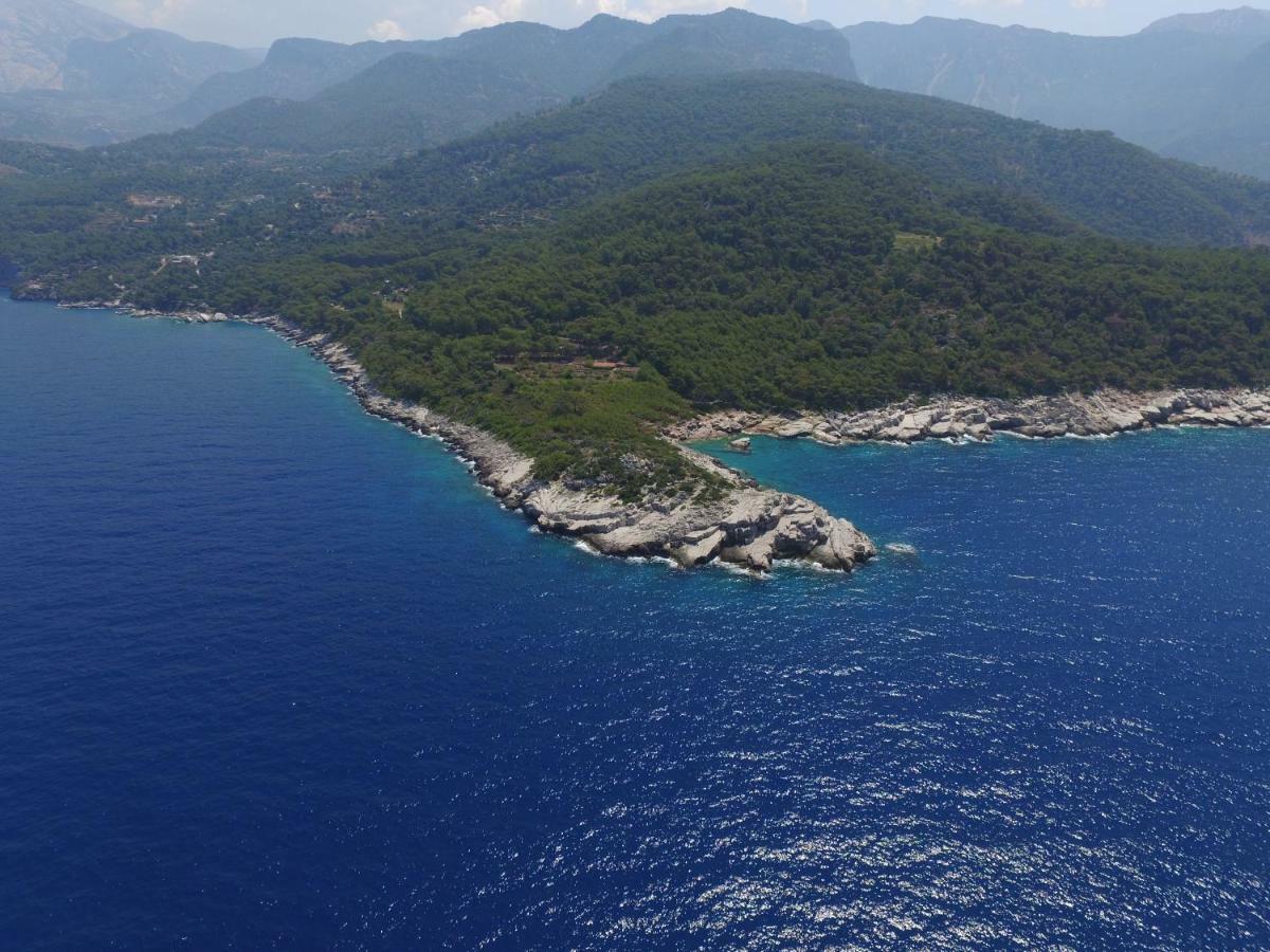 Rocas Roja Beach Hotel Faralya Kültér fotó